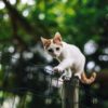Three Secrets to Thriving in an Organizational Matrix Photo by Erik Witsoe on Unsplash